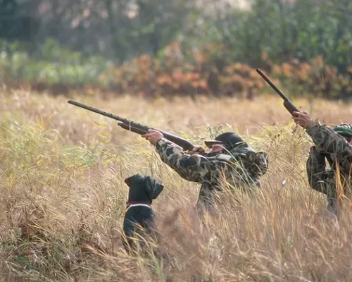 Hunting tourism