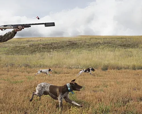 Hunting tourism