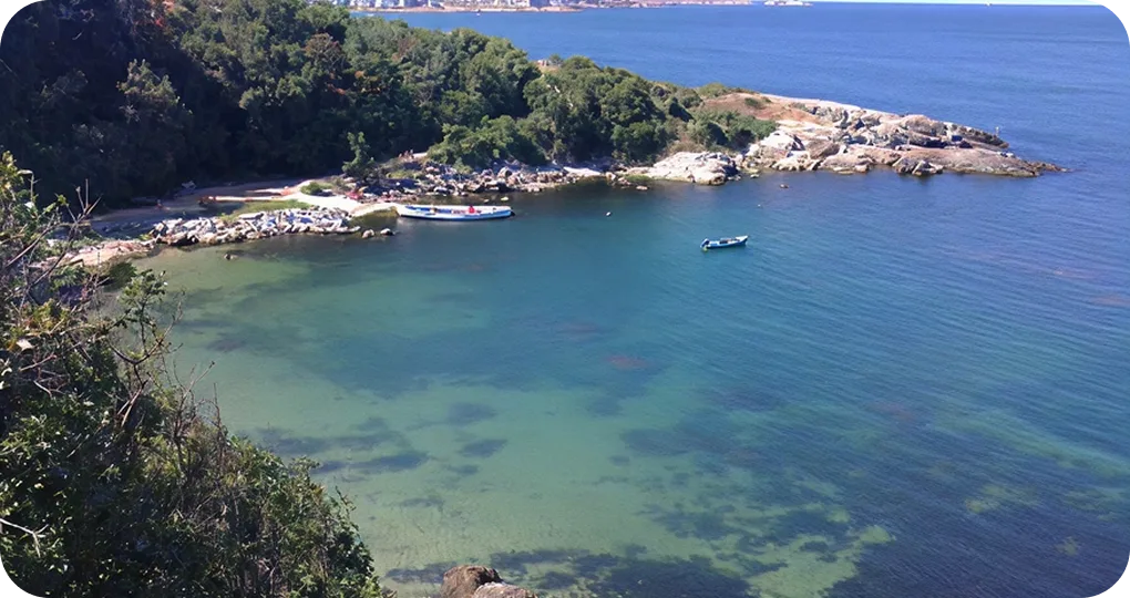 Paradise Bay