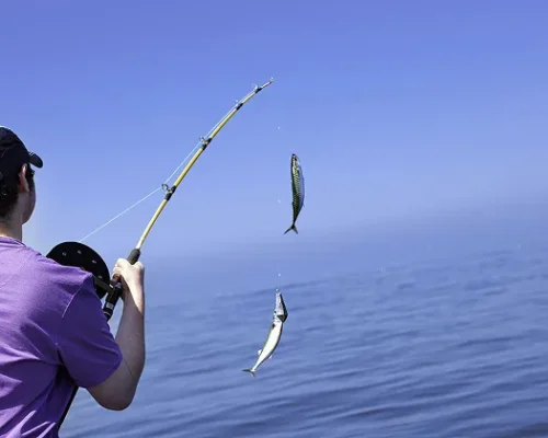 Fishing